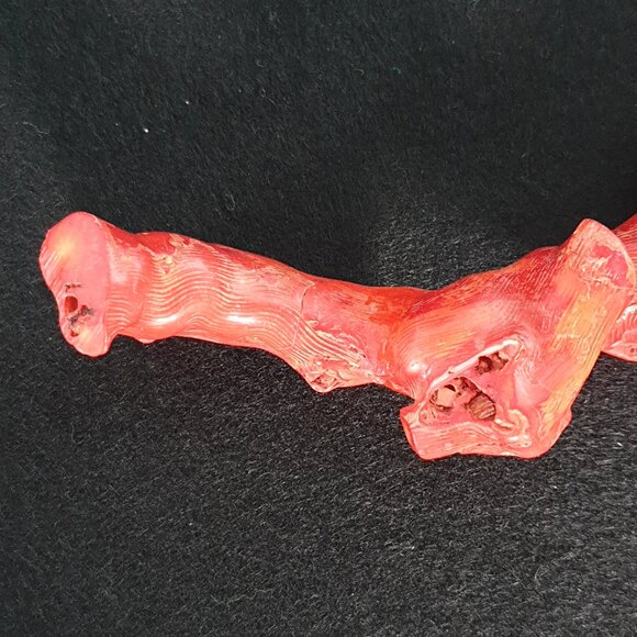 Rare Antique 575 Carat (115 gram) Natural Mediterranean Red Coral Branch - Picture 9 of 11
